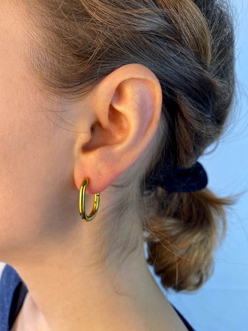 Absolute Appeal Ohrringe Gold ICRUSH Gold/Silver